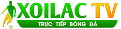 bóng đá hôm nay và ngày mai